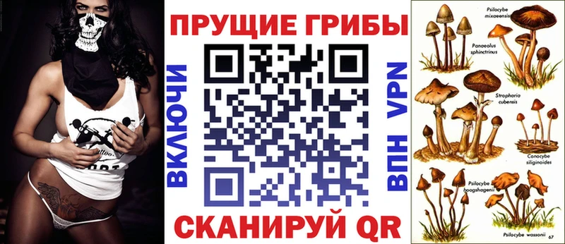 дарнет шоп  Азнакаево  Псилоцибиновые грибы Psilocybe 