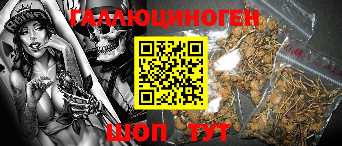 Псилоцибиновые грибы MAGIC MUSHROOMS Азнакаево