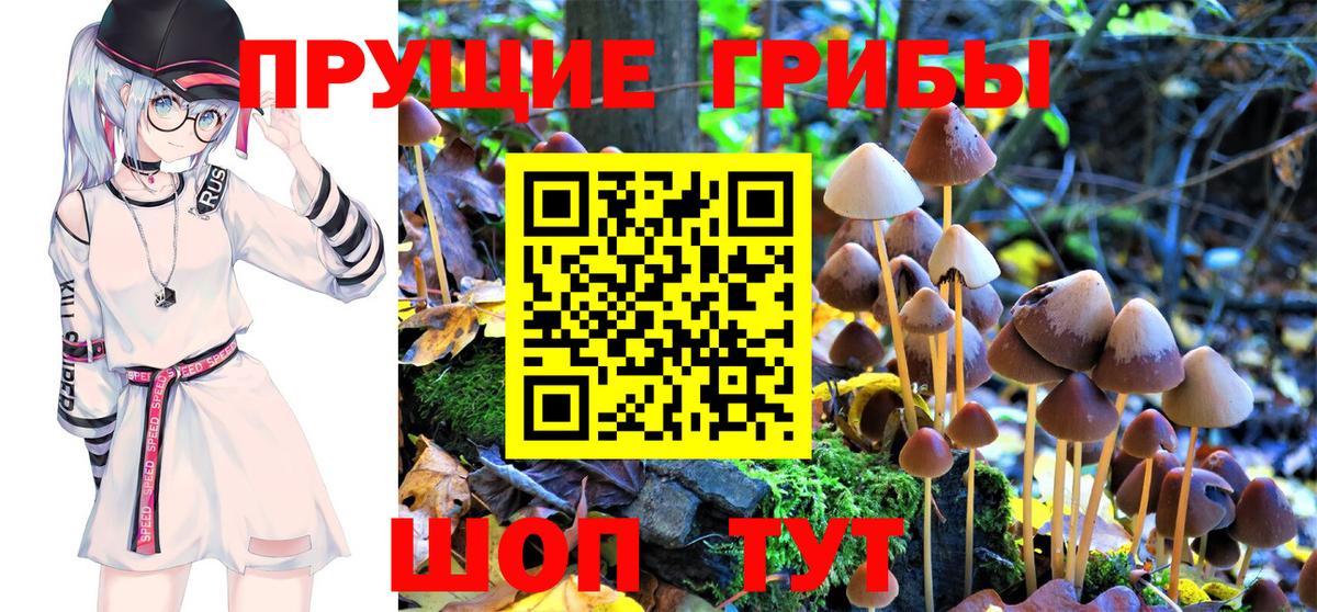Псилоцибиновые грибы MAGIC MUSHROOMS Азнакаево