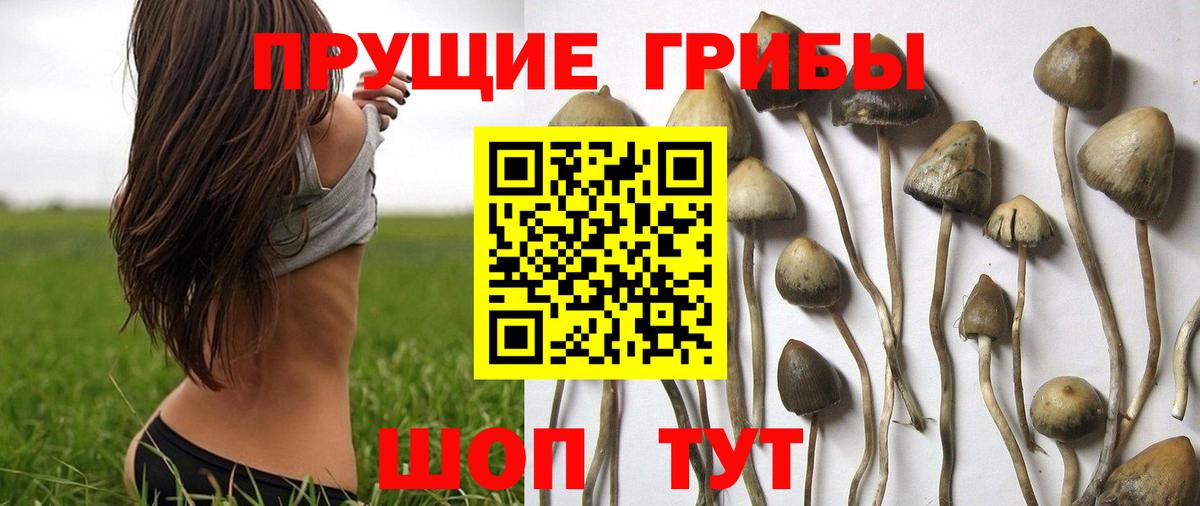 Псилоцибиновые грибы MAGIC MUSHROOMS  Азнакаево  Псилоцибиновые грибы MAGIC MUSHROOMS 