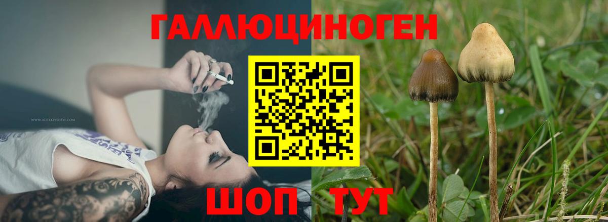 Псилоцибиновые грибы мухоморы  Вход с VPN  Азнакаево 